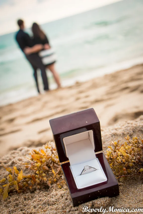 Engagement_RyanCalistaLOWM-169.JPG