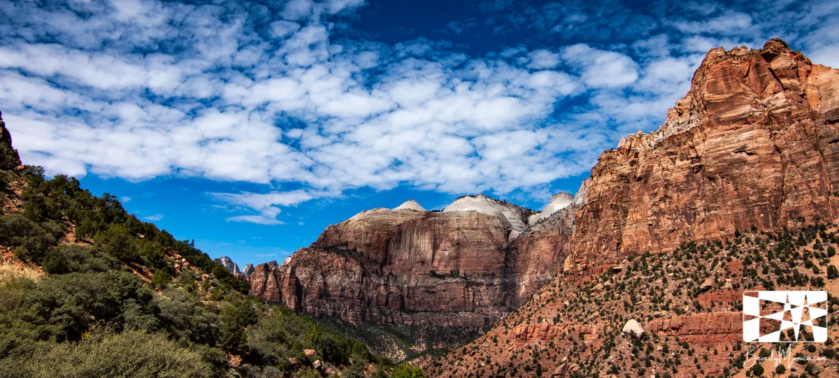 Landscape_ZionNarrows_lowm-8521.JPG