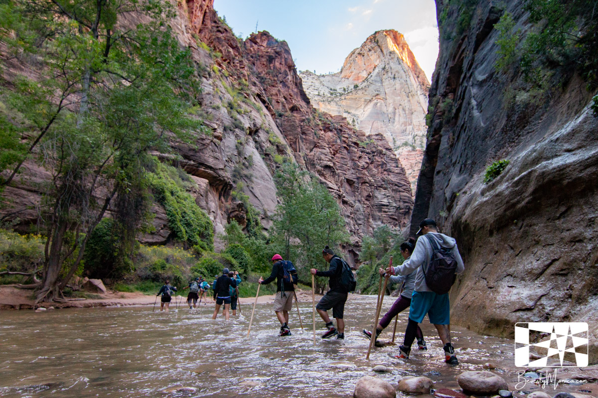 Landscape_ZionNarrows_lowm-8561.JPG