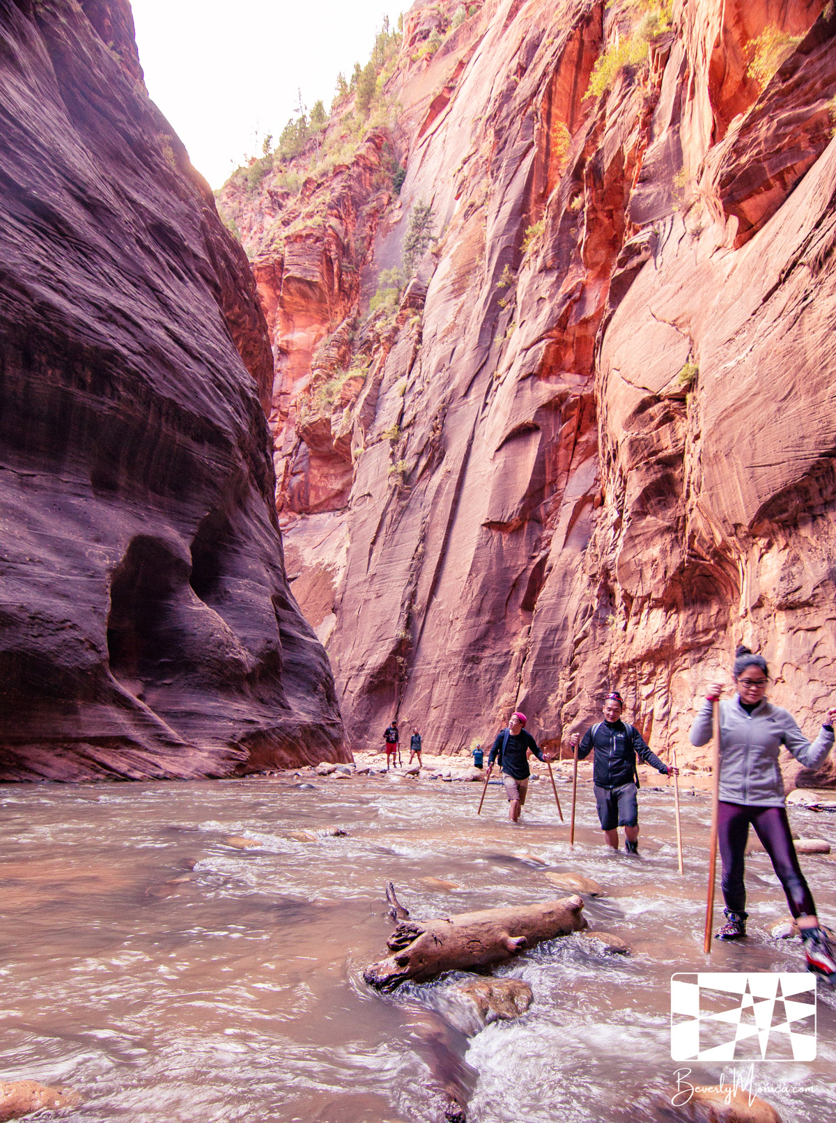 Landscape_ZionNarrows_lowm-8564.JPG
