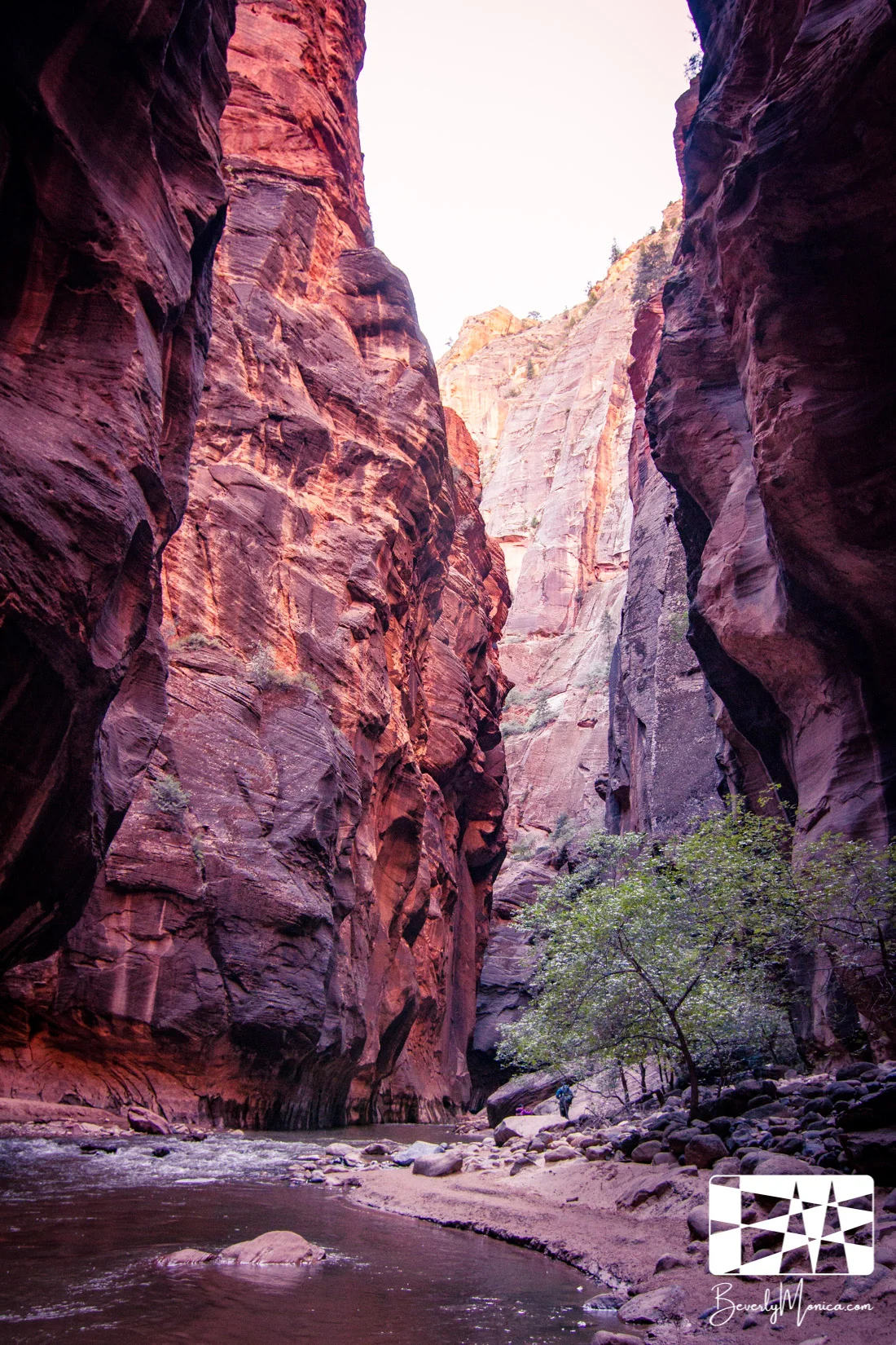 Landscape_ZionNarrows_lowm-8569.JPG