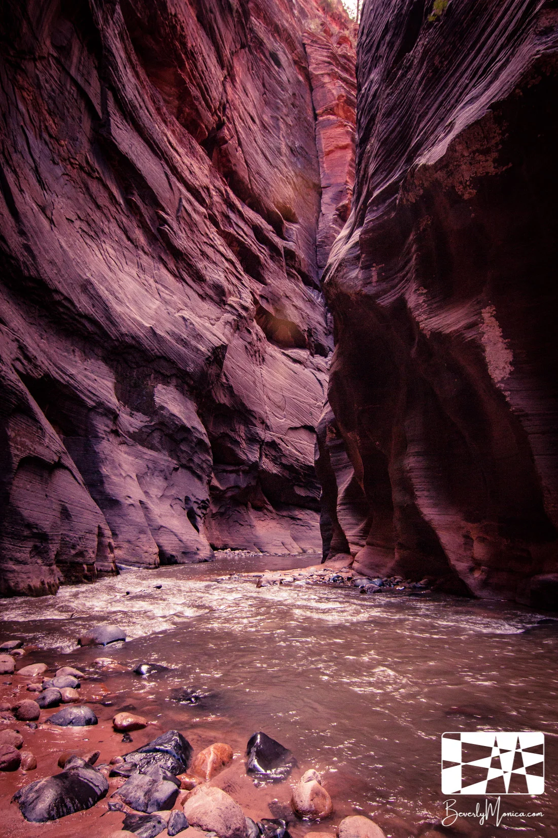 Landscape_ZionNarrows_lowm-8582.JPG