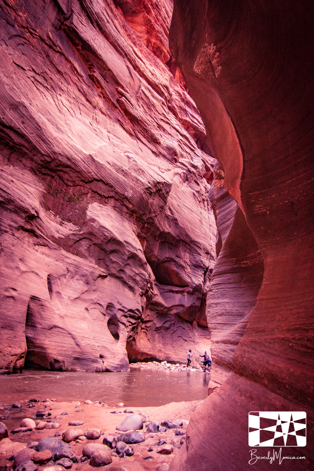 Landscape_ZionNarrows_lowm-8590.JPG