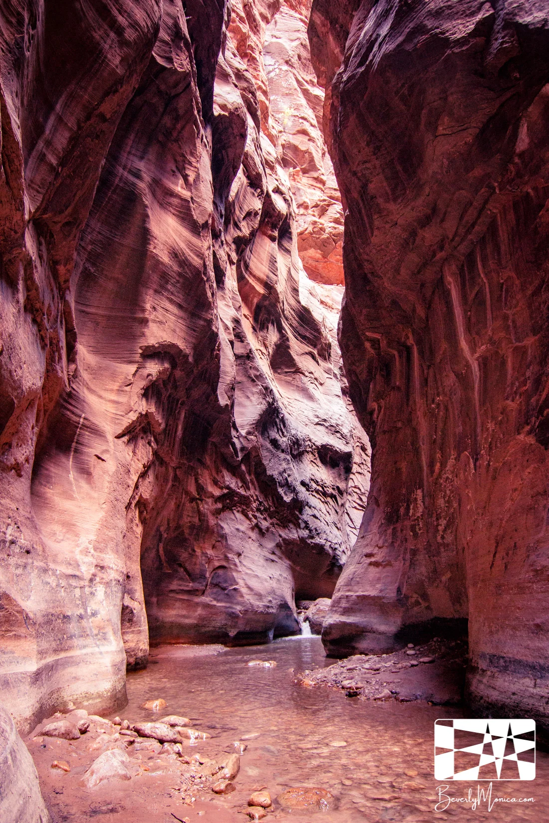 Landscape_ZionNarrows_lowm-8598.JPG