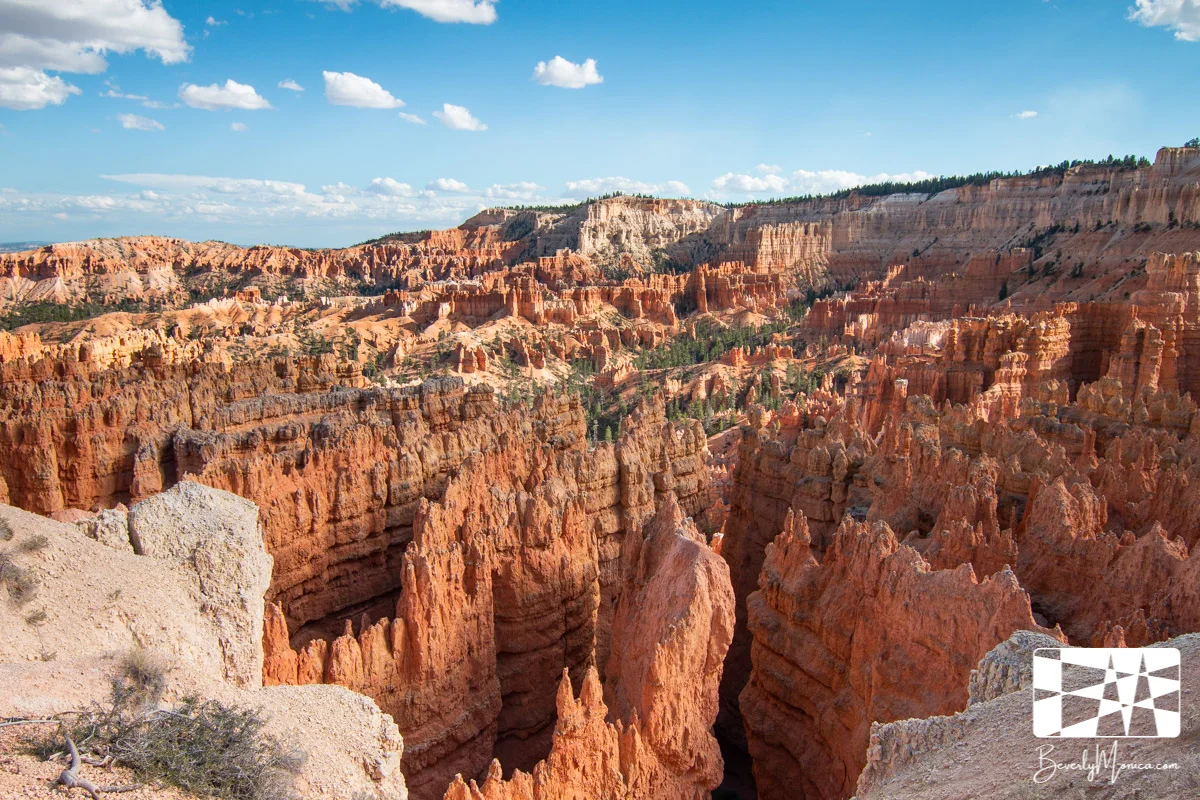 Landscape_ZionNarrows_lowm-8606.JPG