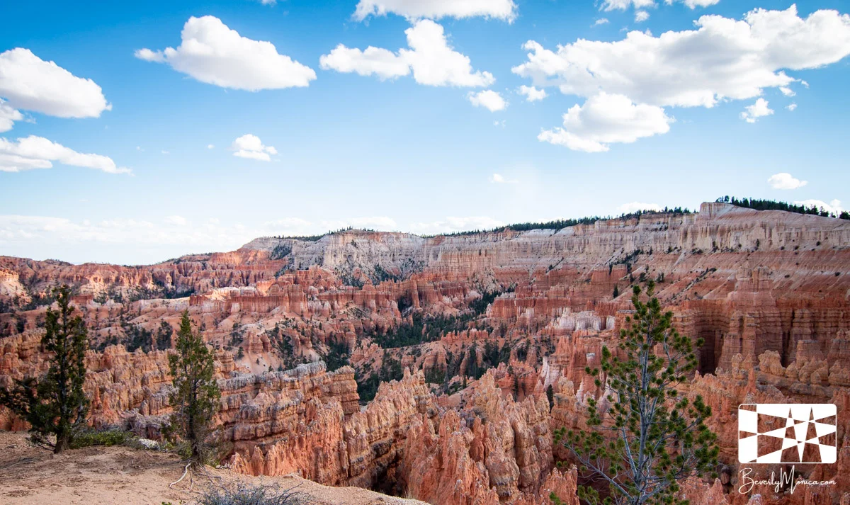 Landscape_ZionNarrows_lowm-8619.JPG