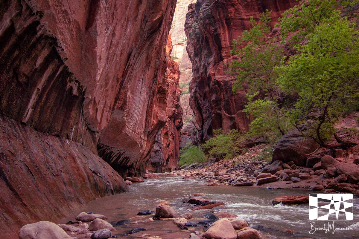 Hiking the Narrows in Zion, Utah 