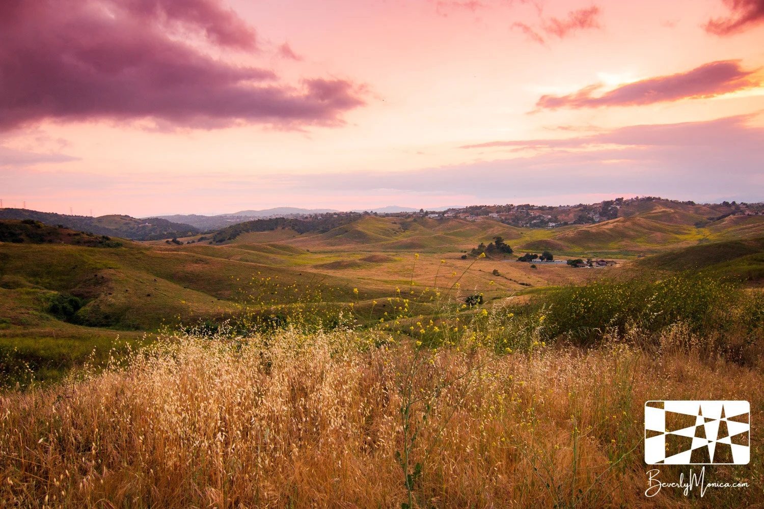 Landscape_ChinoHills_lowm-0068.JPG