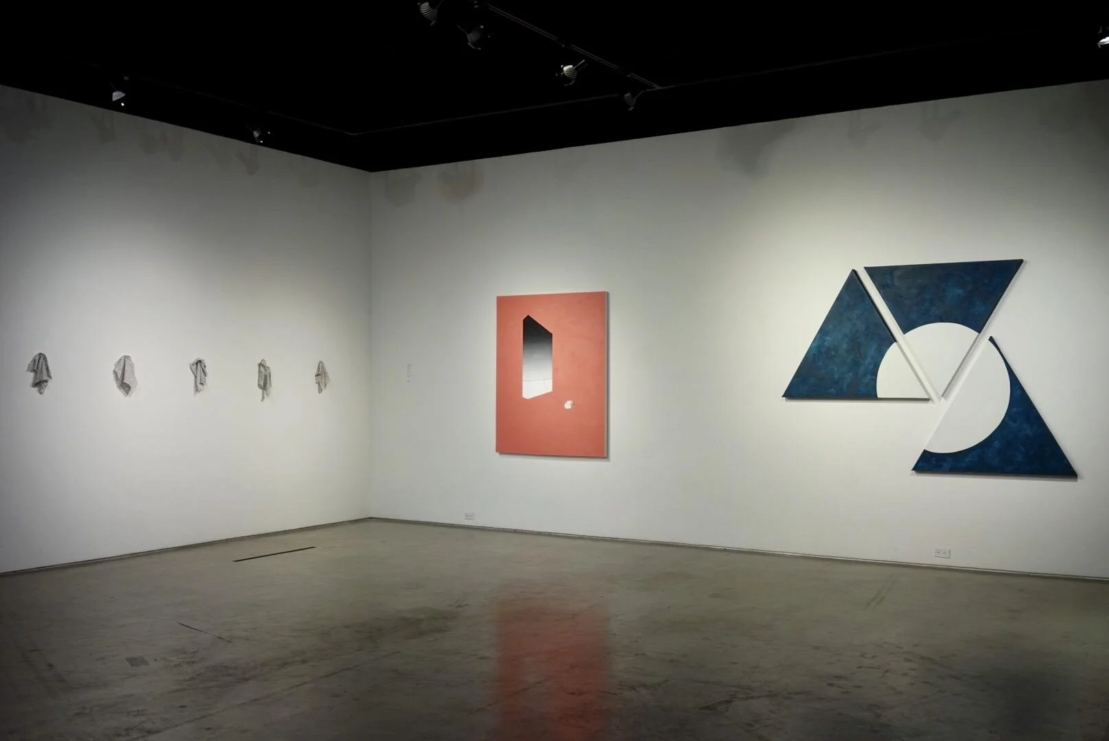 San Diego Art Institute, Millennial Pink Exhibition, Summer 2017