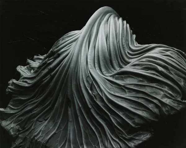 edward-weston.jpg
