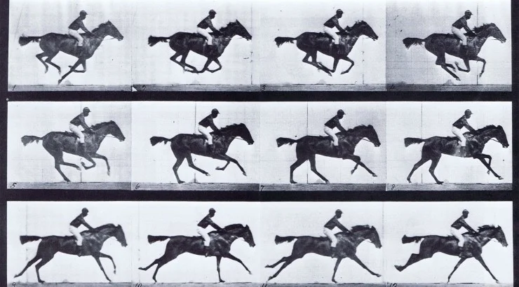 horse_0.jpg