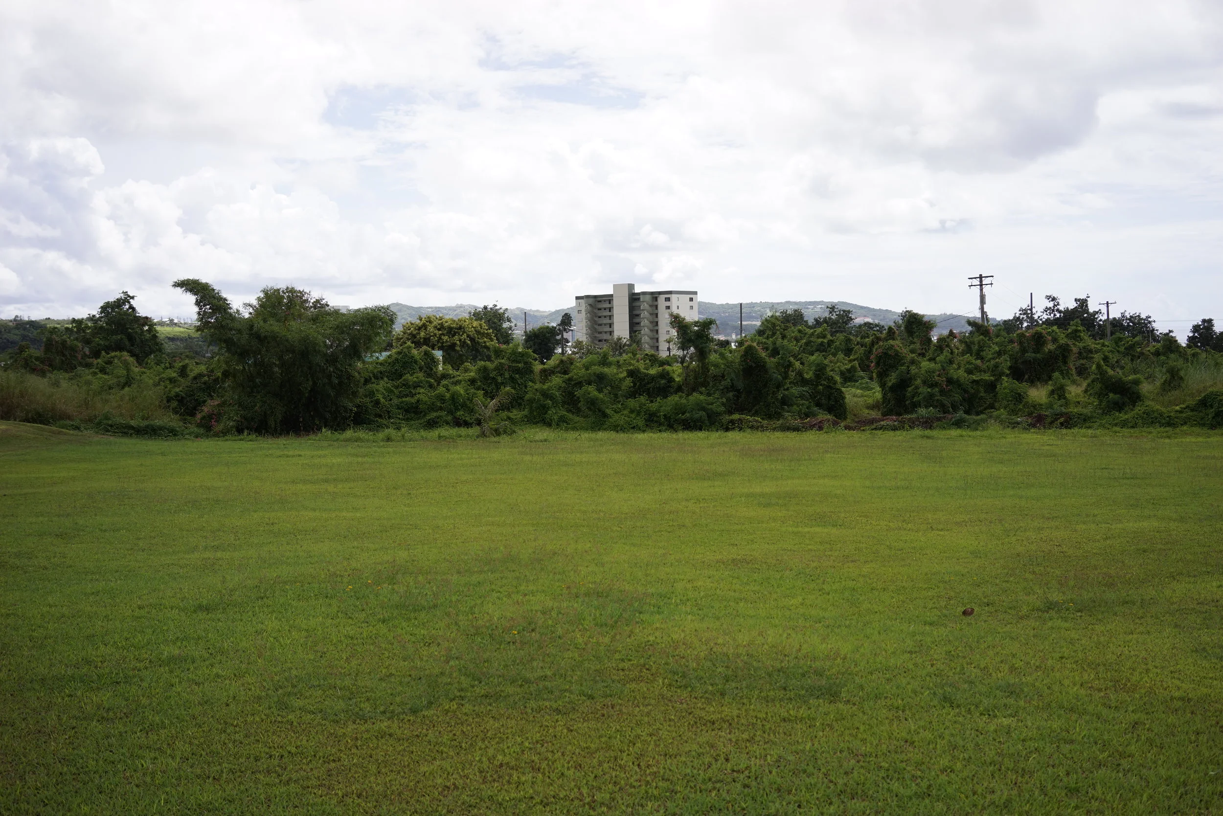 DSC04350.JPG