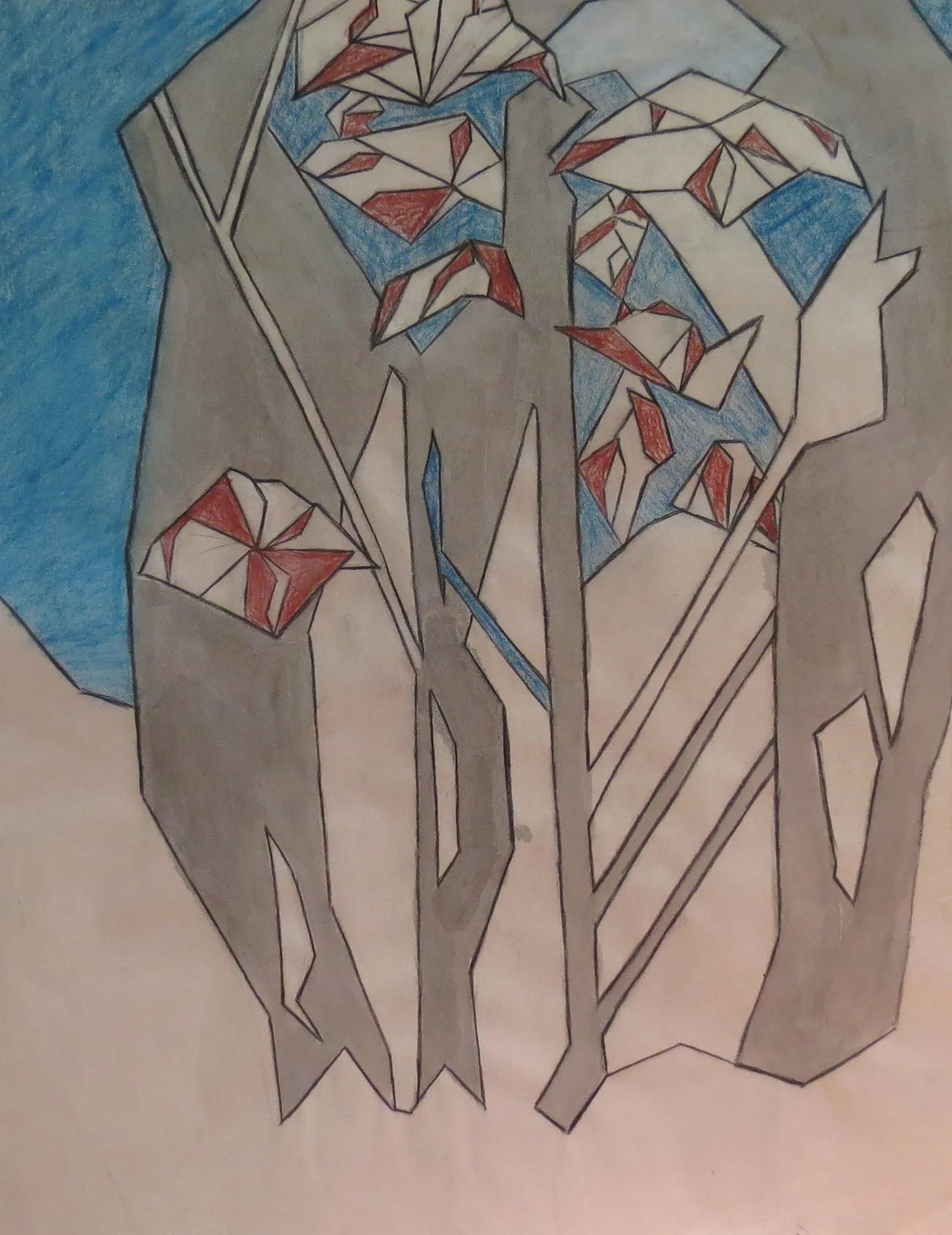 Advanced Drawing