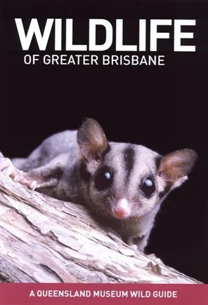 Wildlife of Greater Brisbane