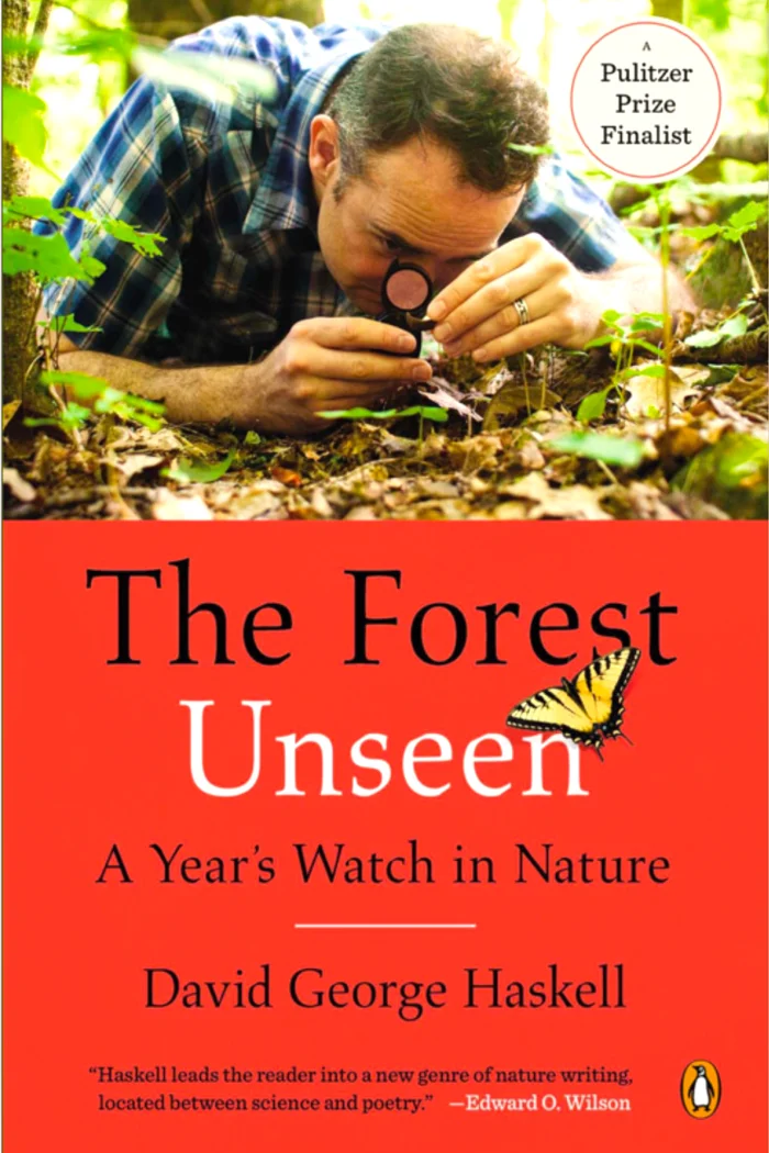 2.3-Forest-Unseen-700W.jpg