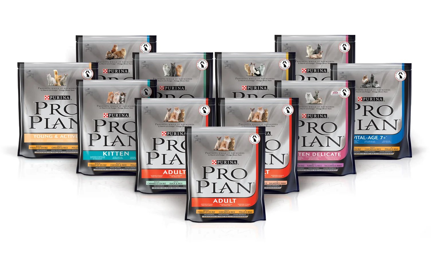 proplan cat all.jpg