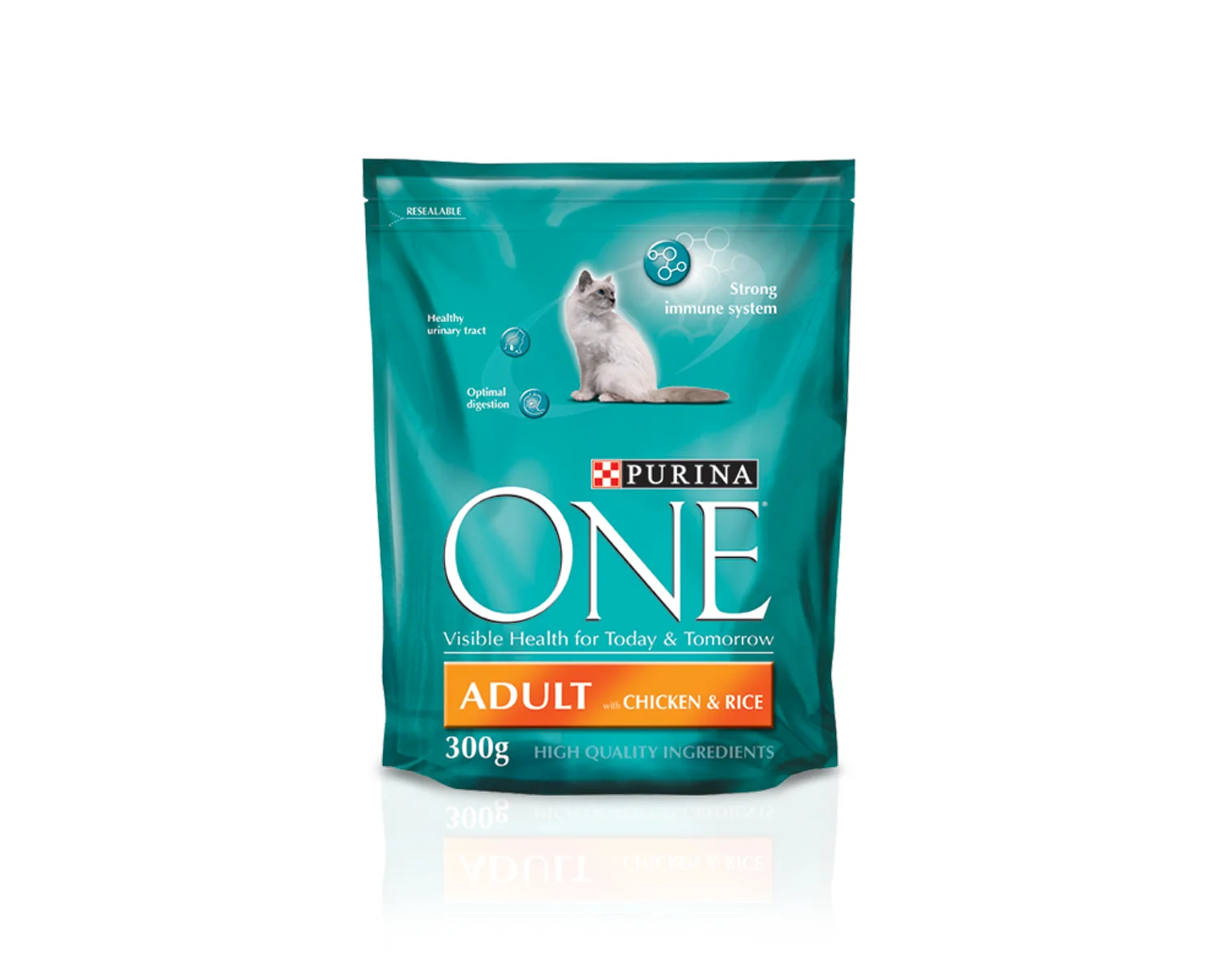 ONE Cat.jpg
