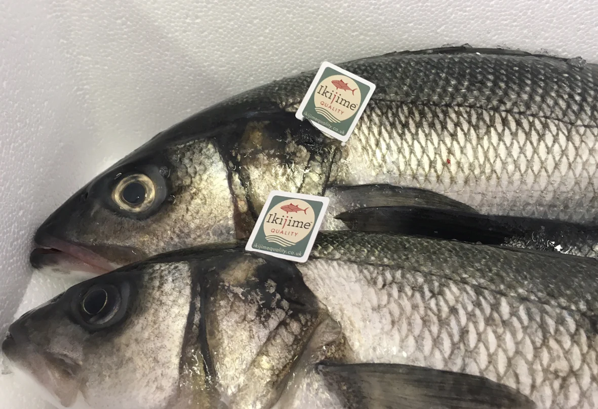 Ikijime_fish.jpg