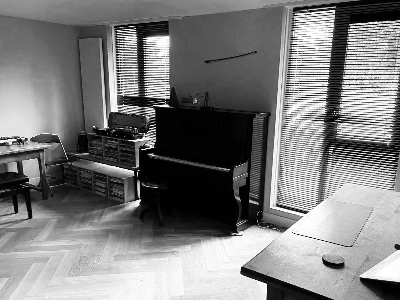 Studio Leitmotiv, Marielle van der Want, violiste, vioolles Oegstgeest