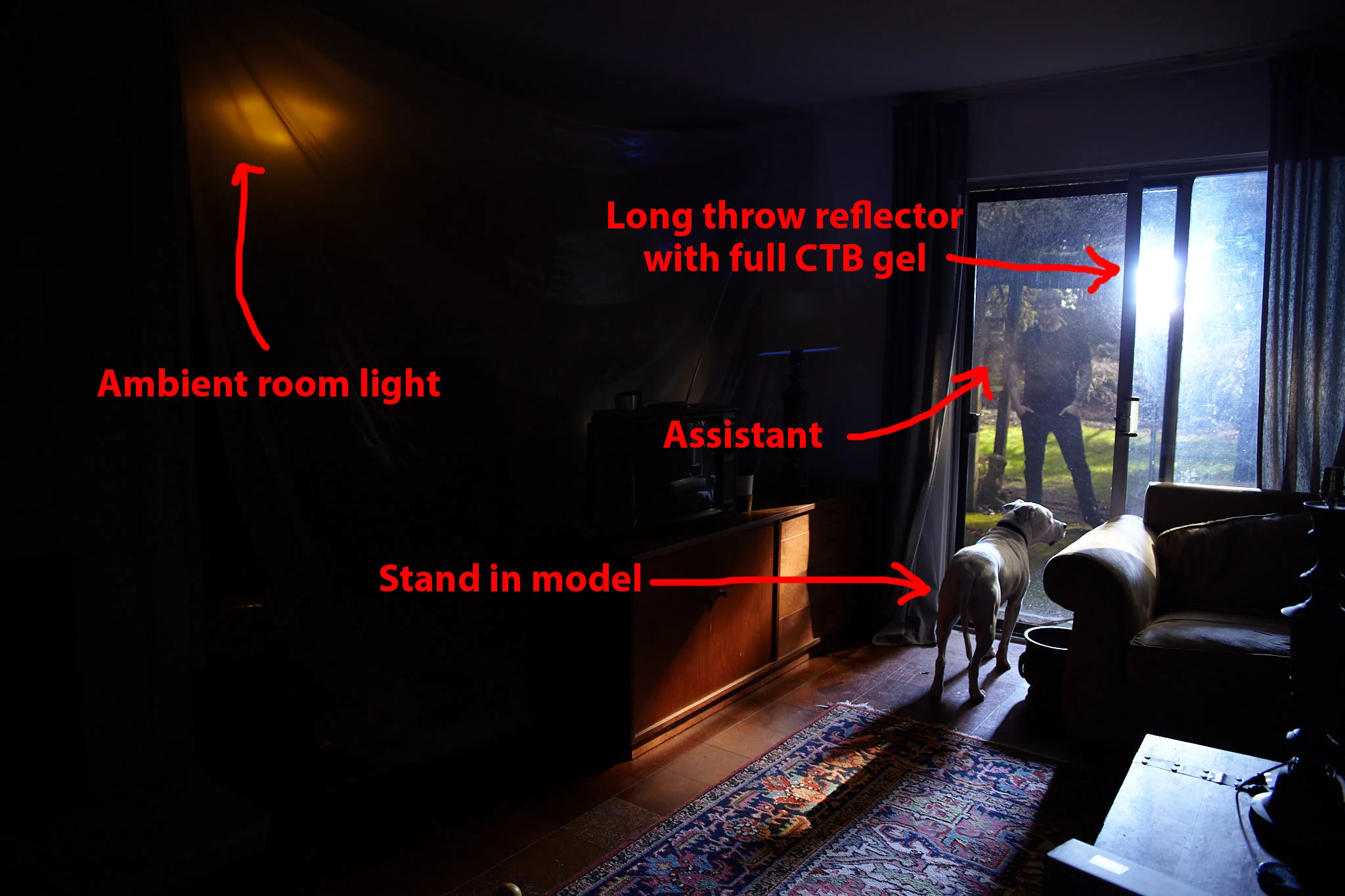 Mimicking night time moonlight with reflector placed outside. 