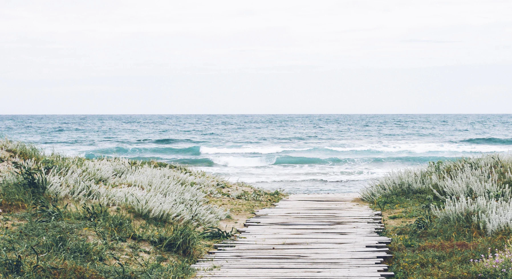 Beach-house.jpg