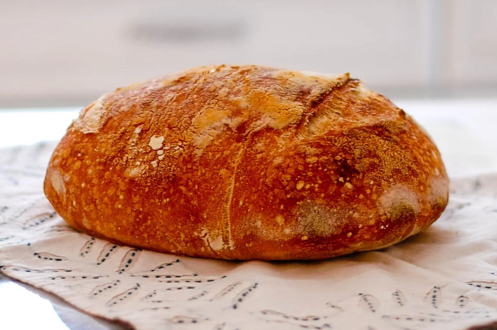Sourdough-3-19-long.jpg