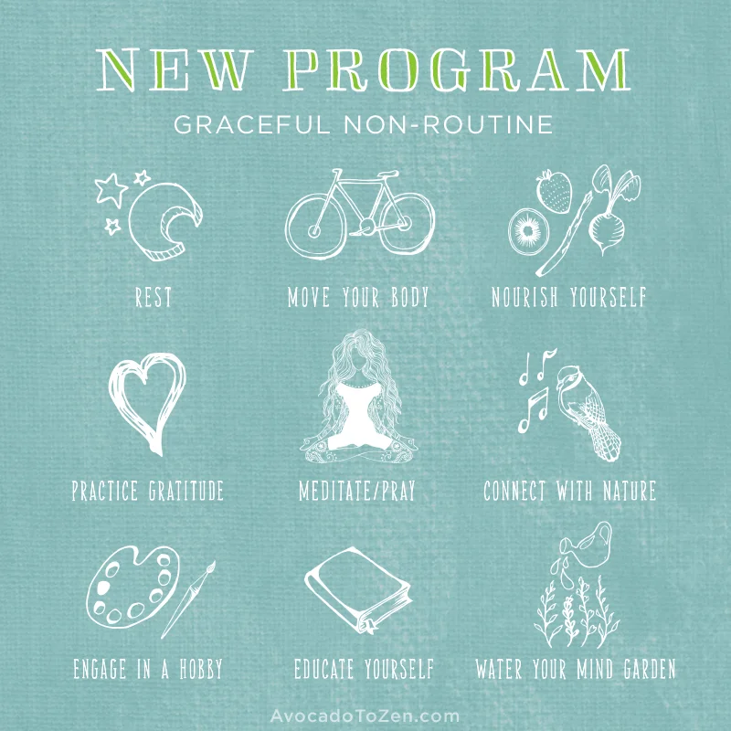 New-Program.jpg
