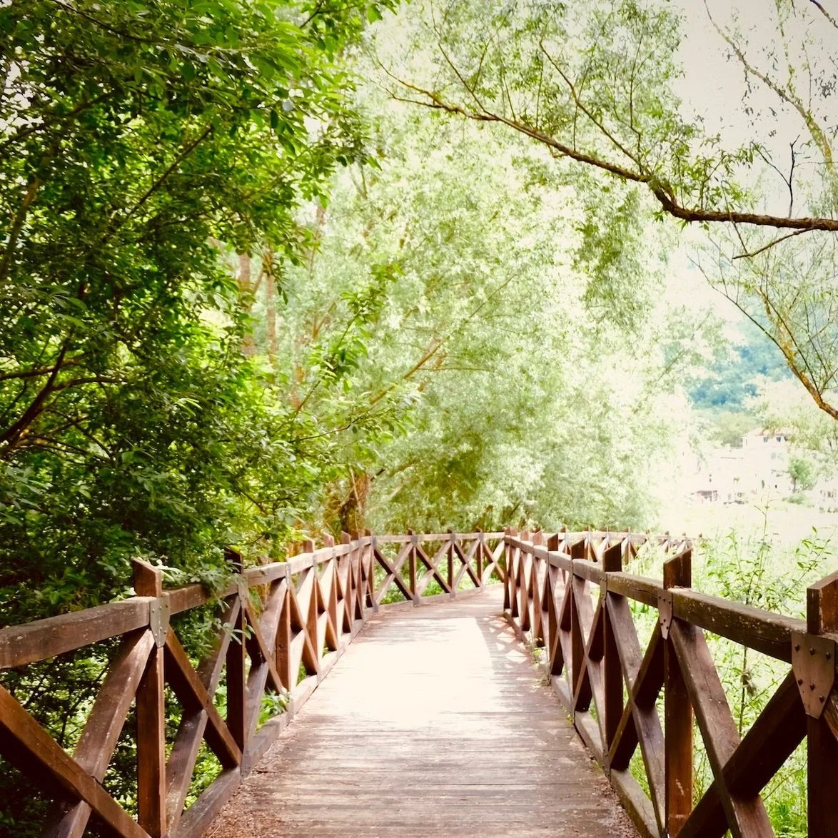 Cacao and Spirituality: Addressing the Elephant in the Room