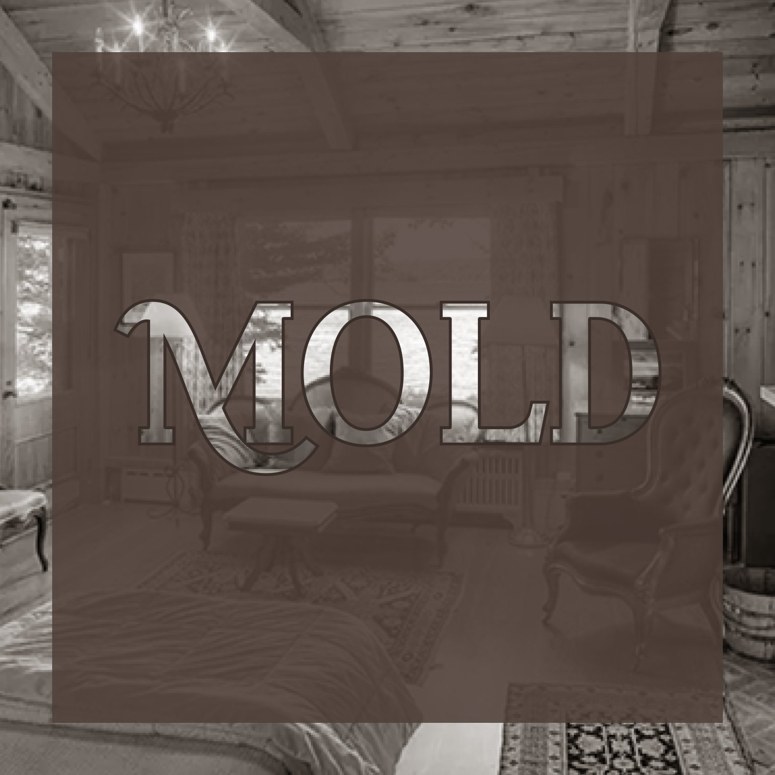 Living Free with CIRS (aka Mold Illness)