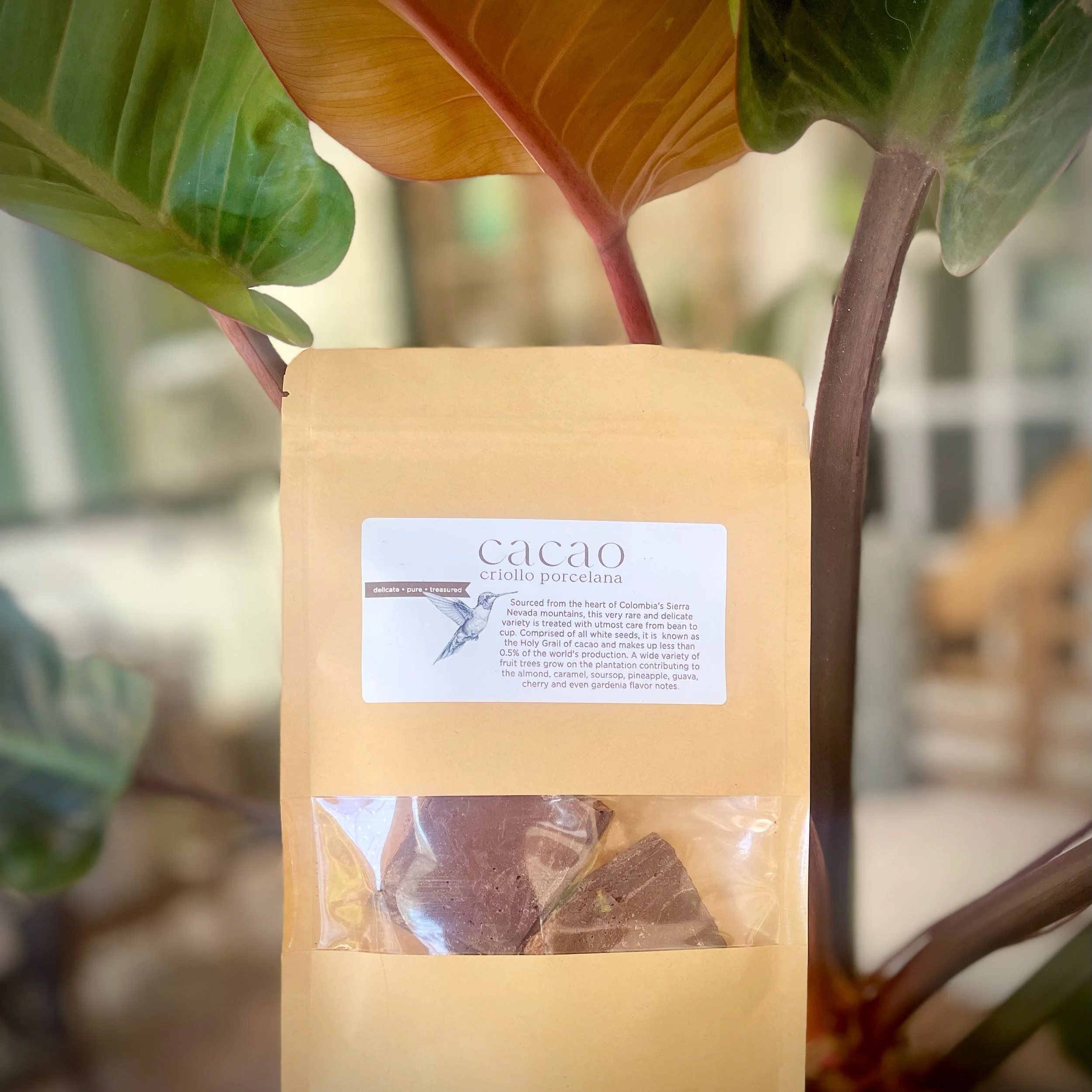 cacao-porcelana-sq.jpg
