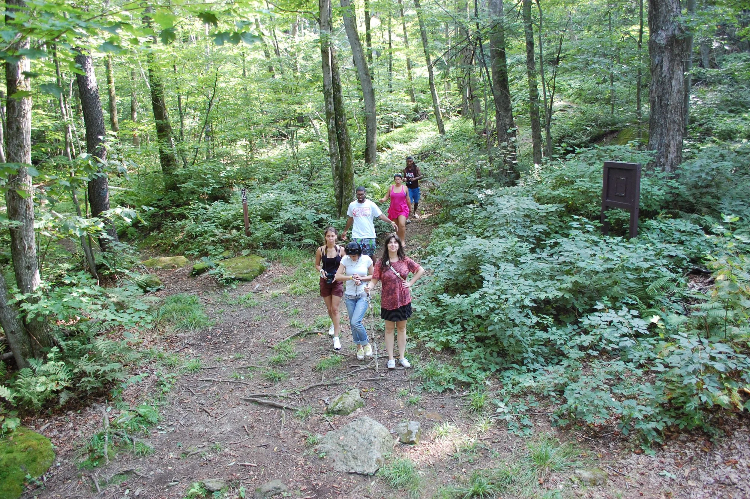 Romp through the woods