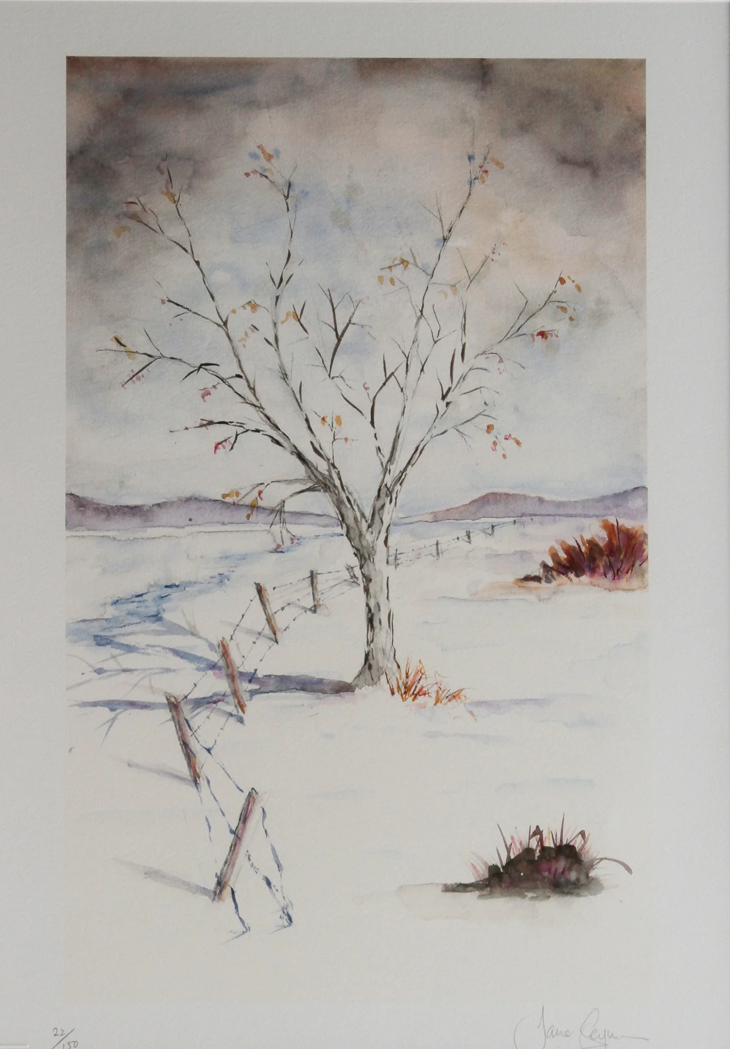 jseymour treeinwinter edit-8503.jpg