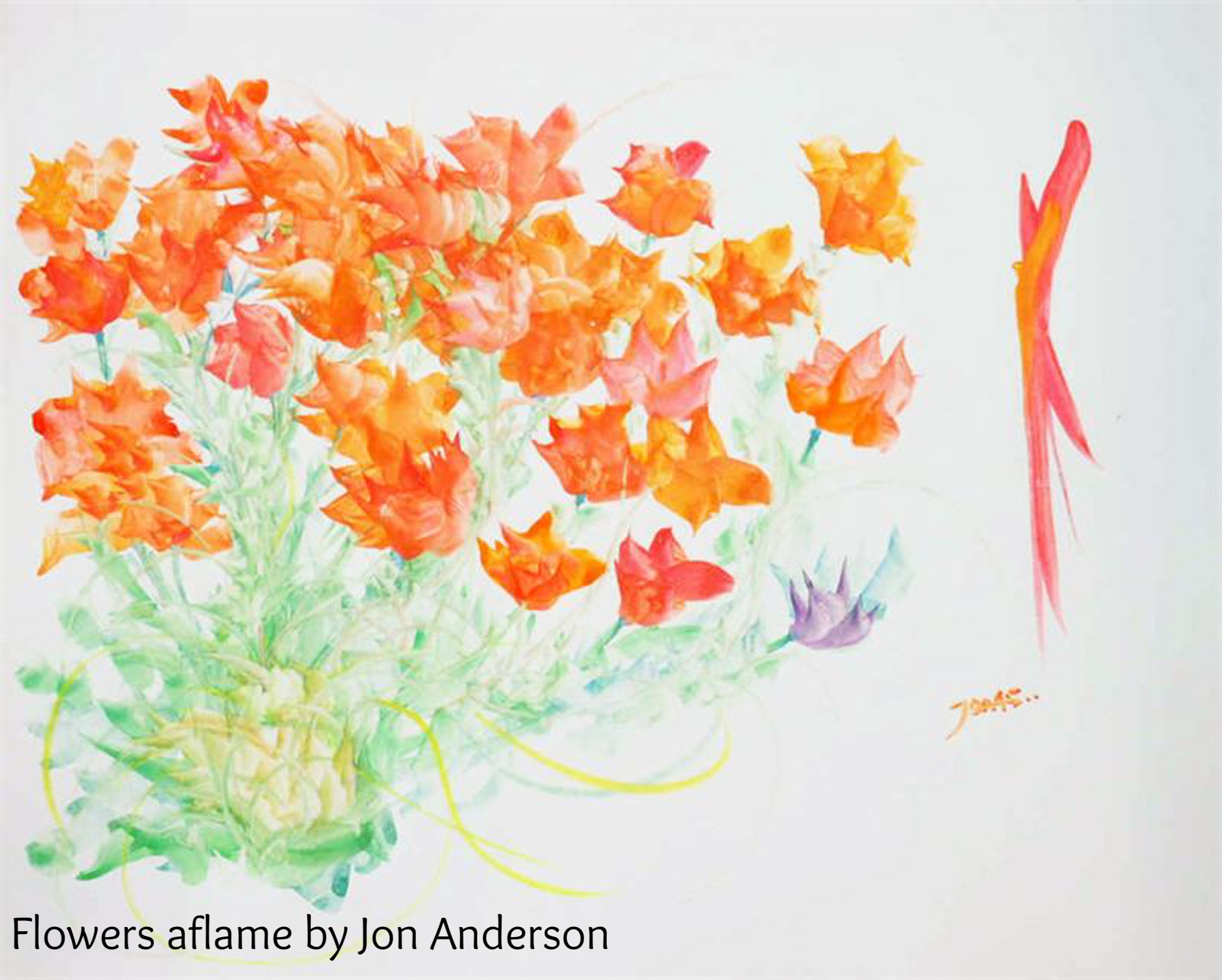 Flowers aflame by Jon Anderson