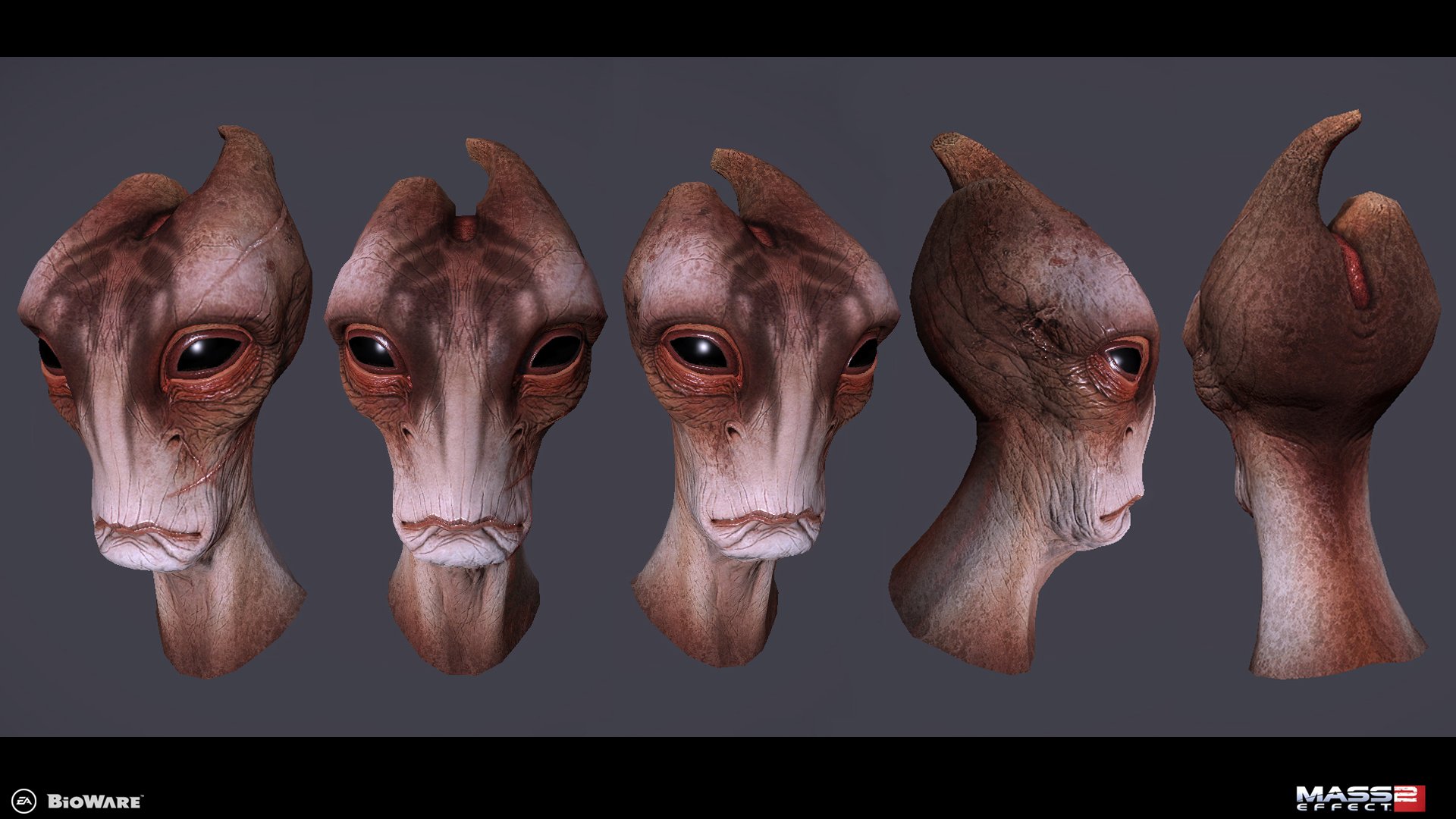 Mordin head