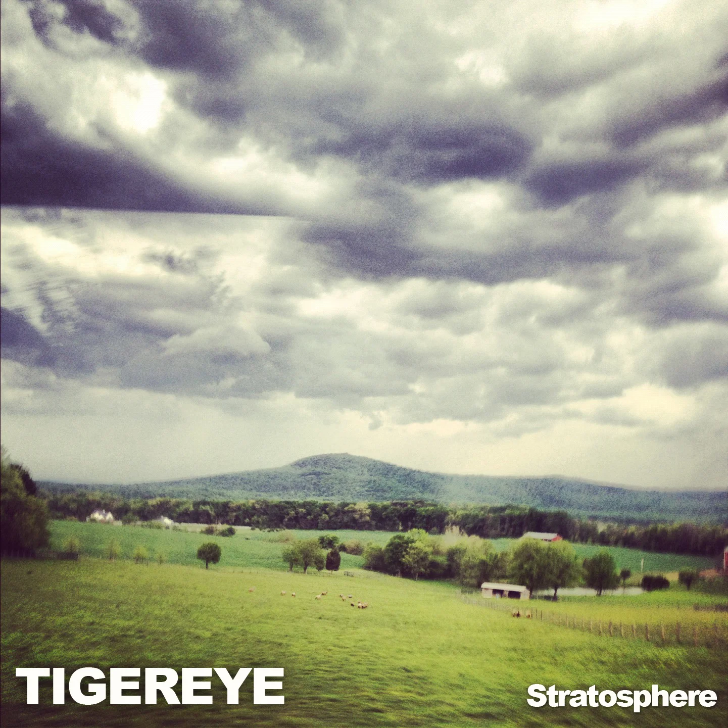 EP Cover_tigereye.jpg