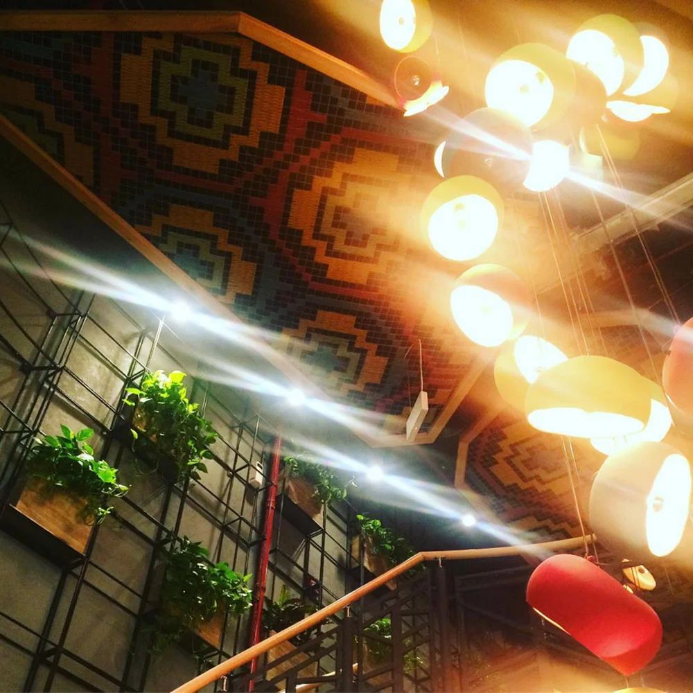 nandos HYATT palza_2.jpg