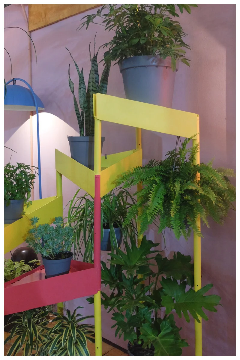 PLANTER_1.jpg