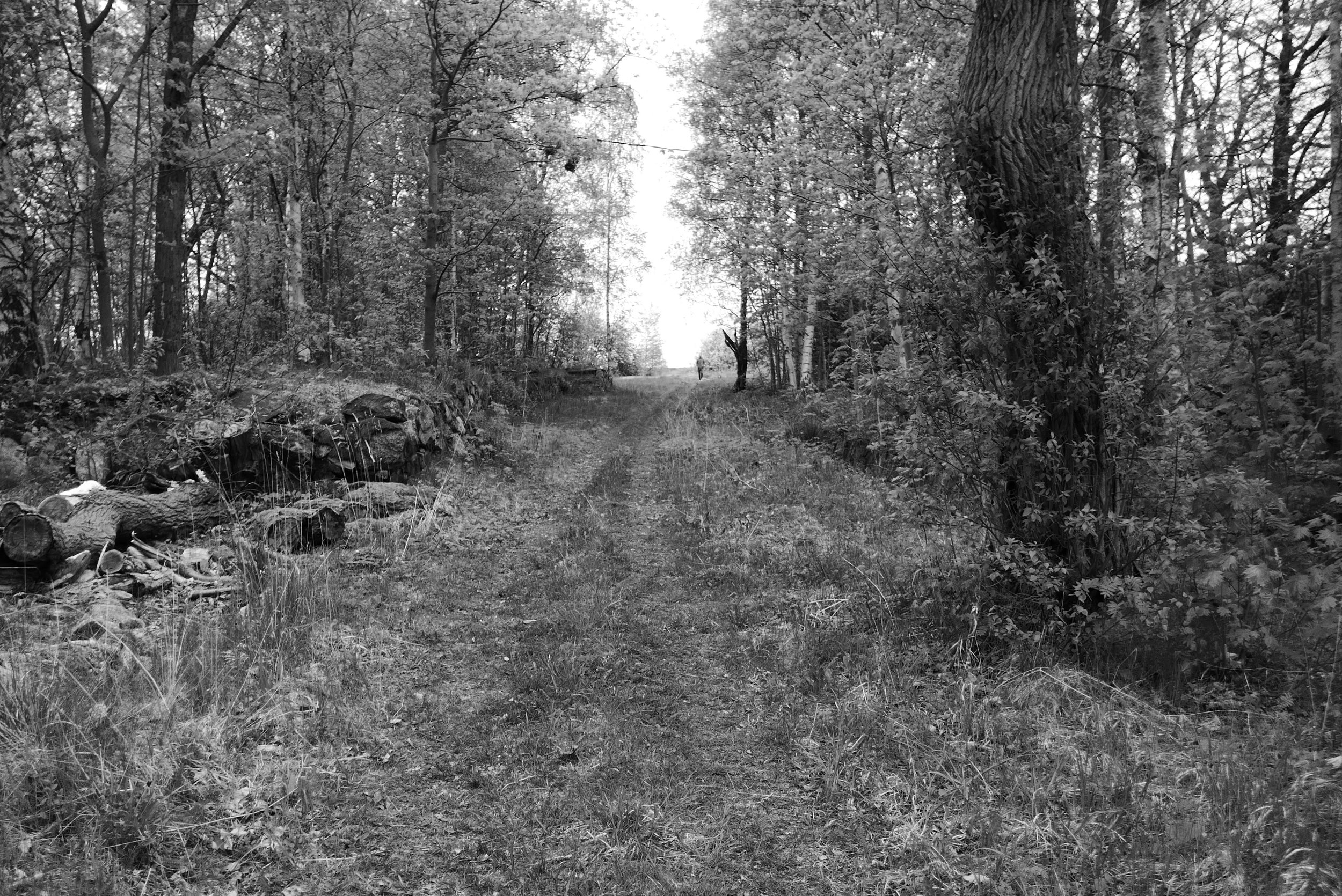 Vallisaari island, Helsinki