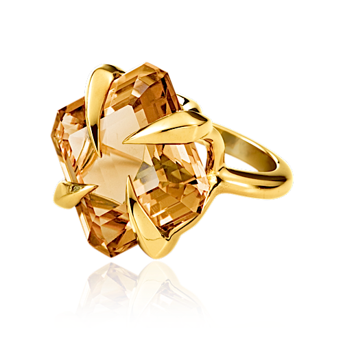 ARTIGLI QUADRO RING.
