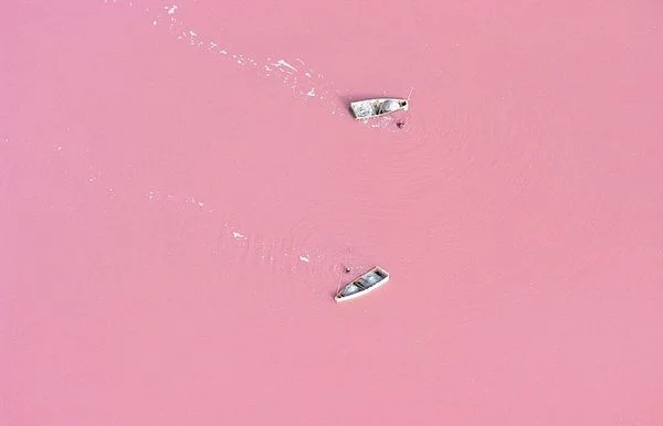 pink.jpg