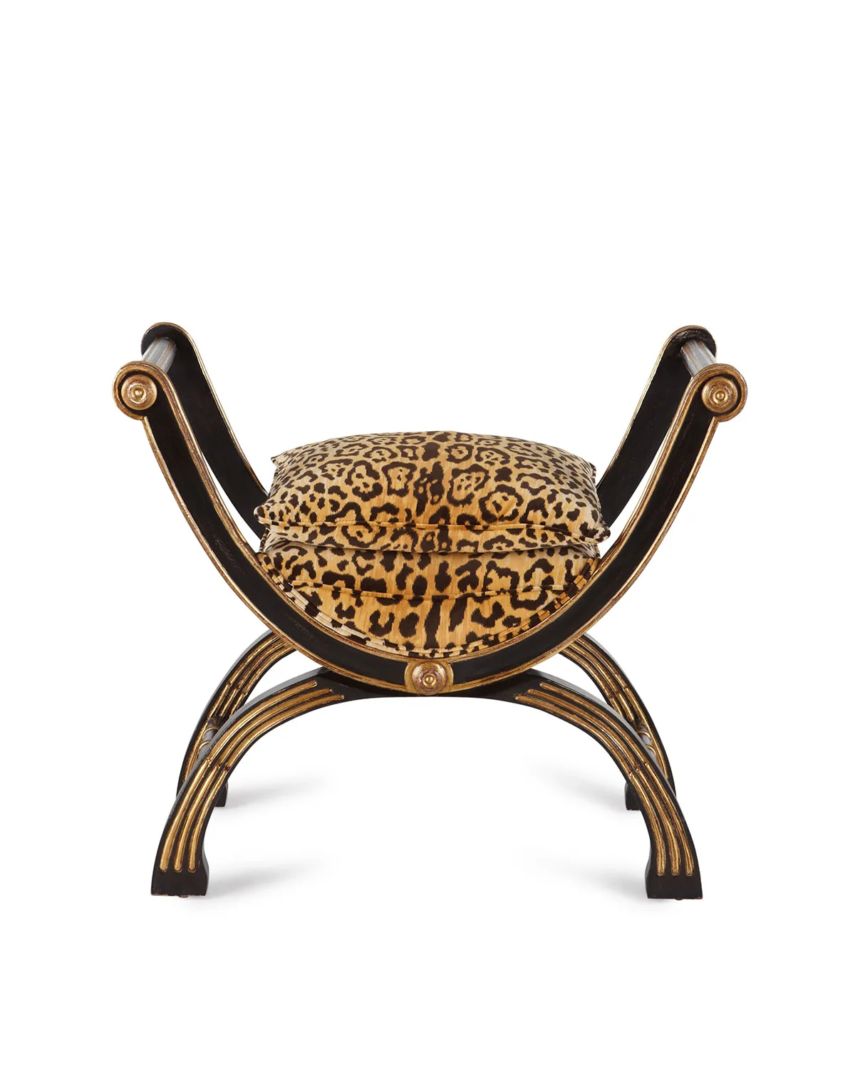 leopard.jpg