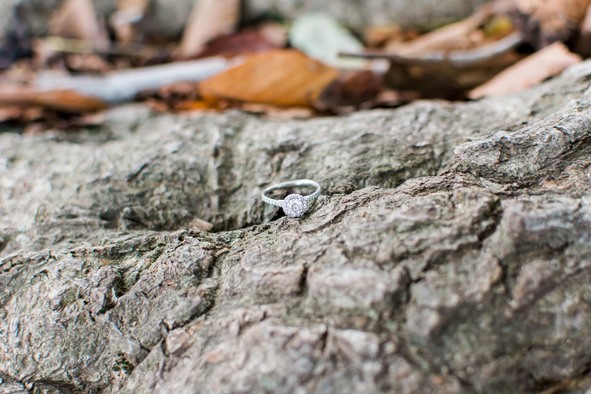 Chelsea+Kevin-116.jpg