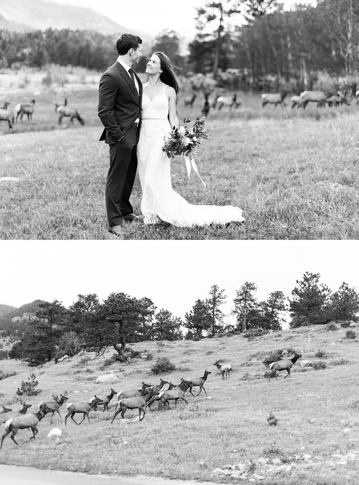 cincinnatiweddingphotographer133.jpg