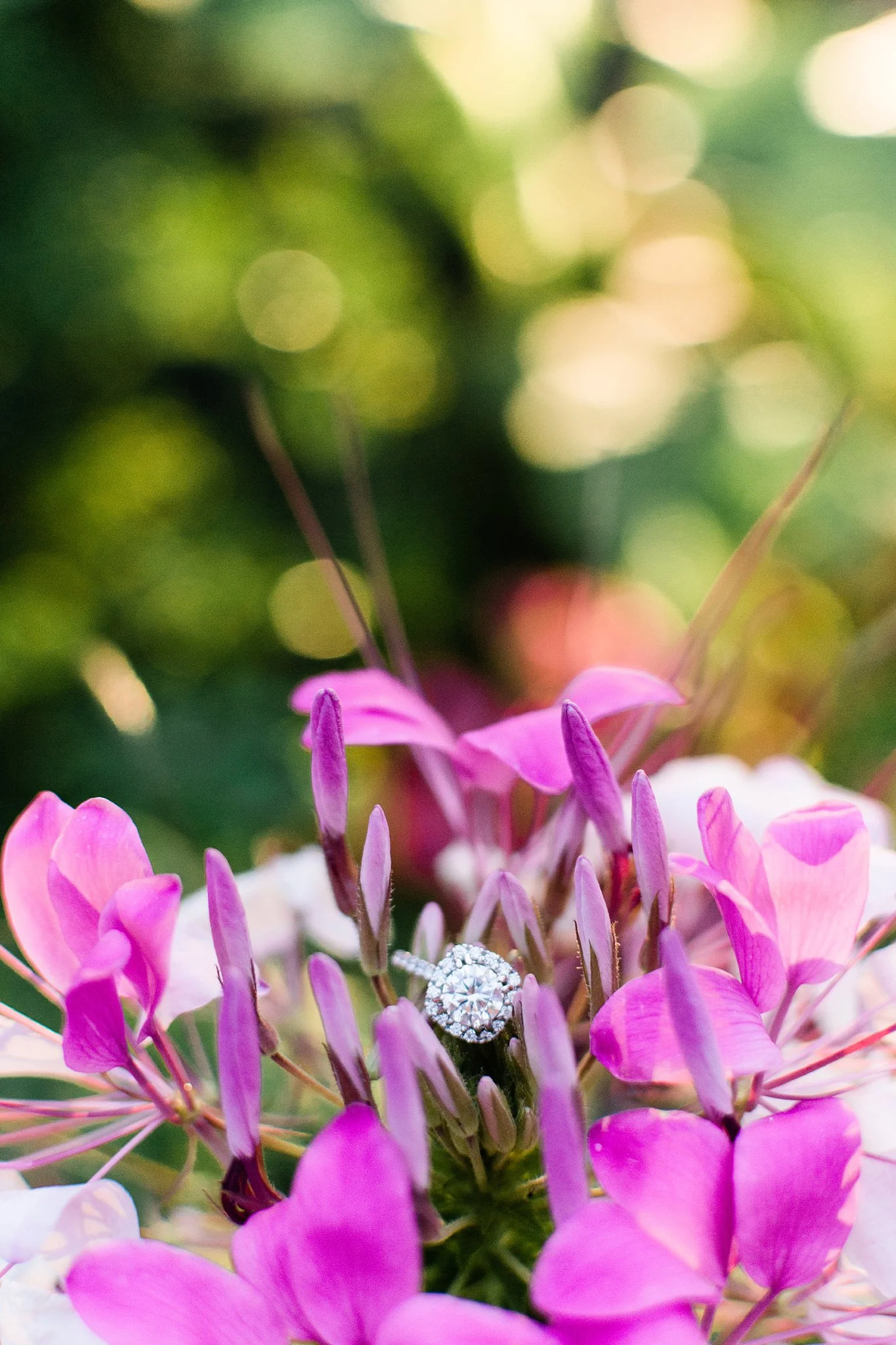 cincinnatiweddingphotographer67.jpg
