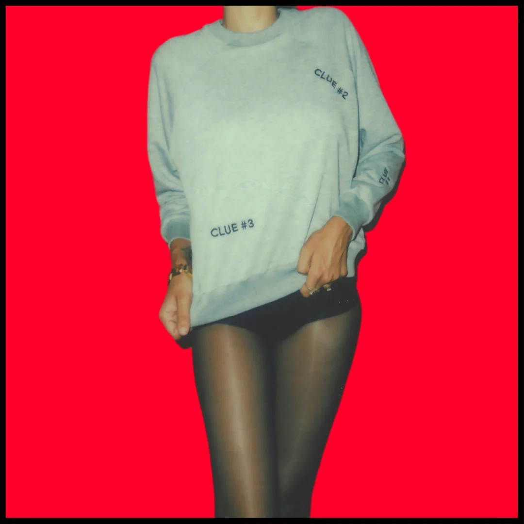 MYSTERY SWEATSHIRTS copy.jpg