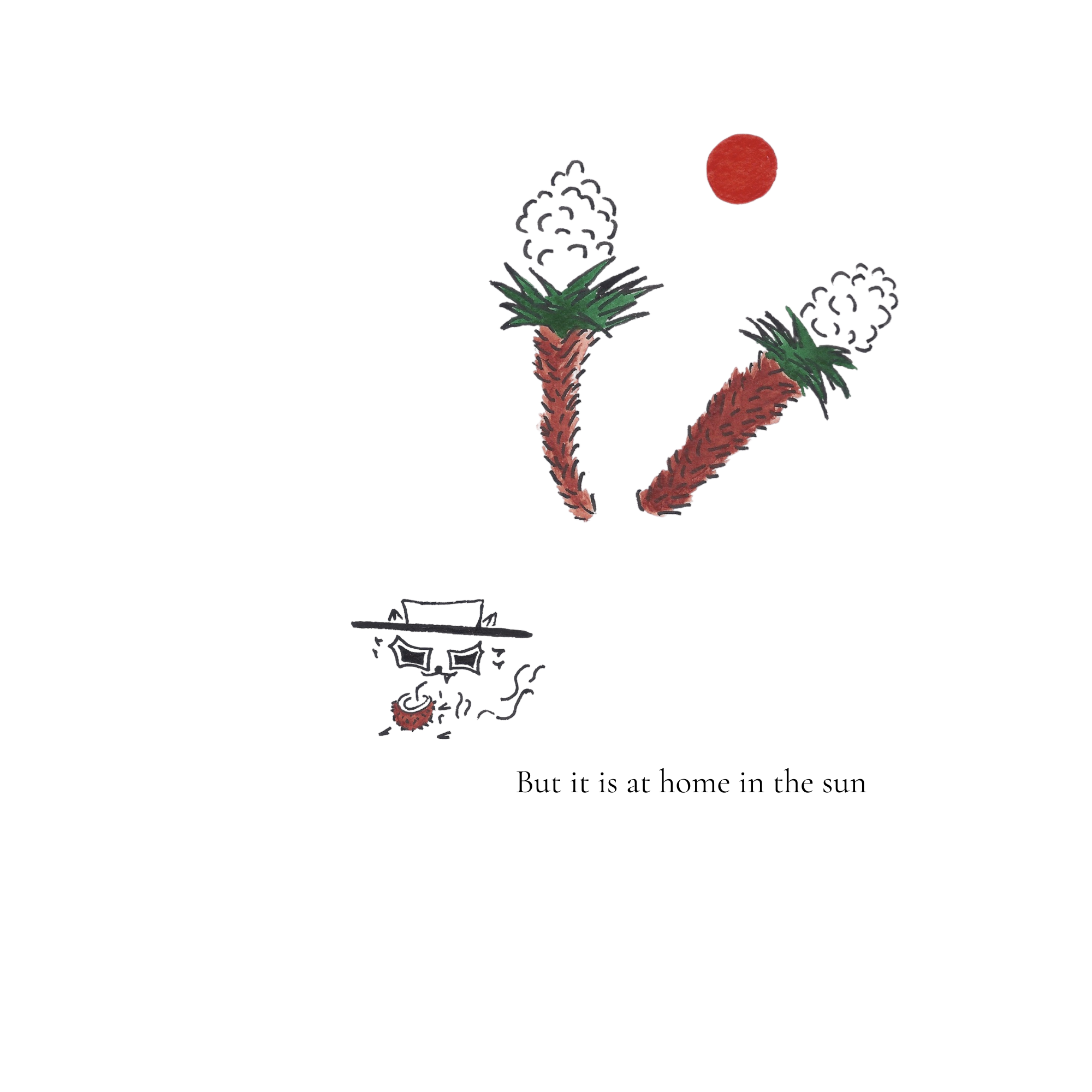 The Wonderful World of Attila (10 x 10 in).png