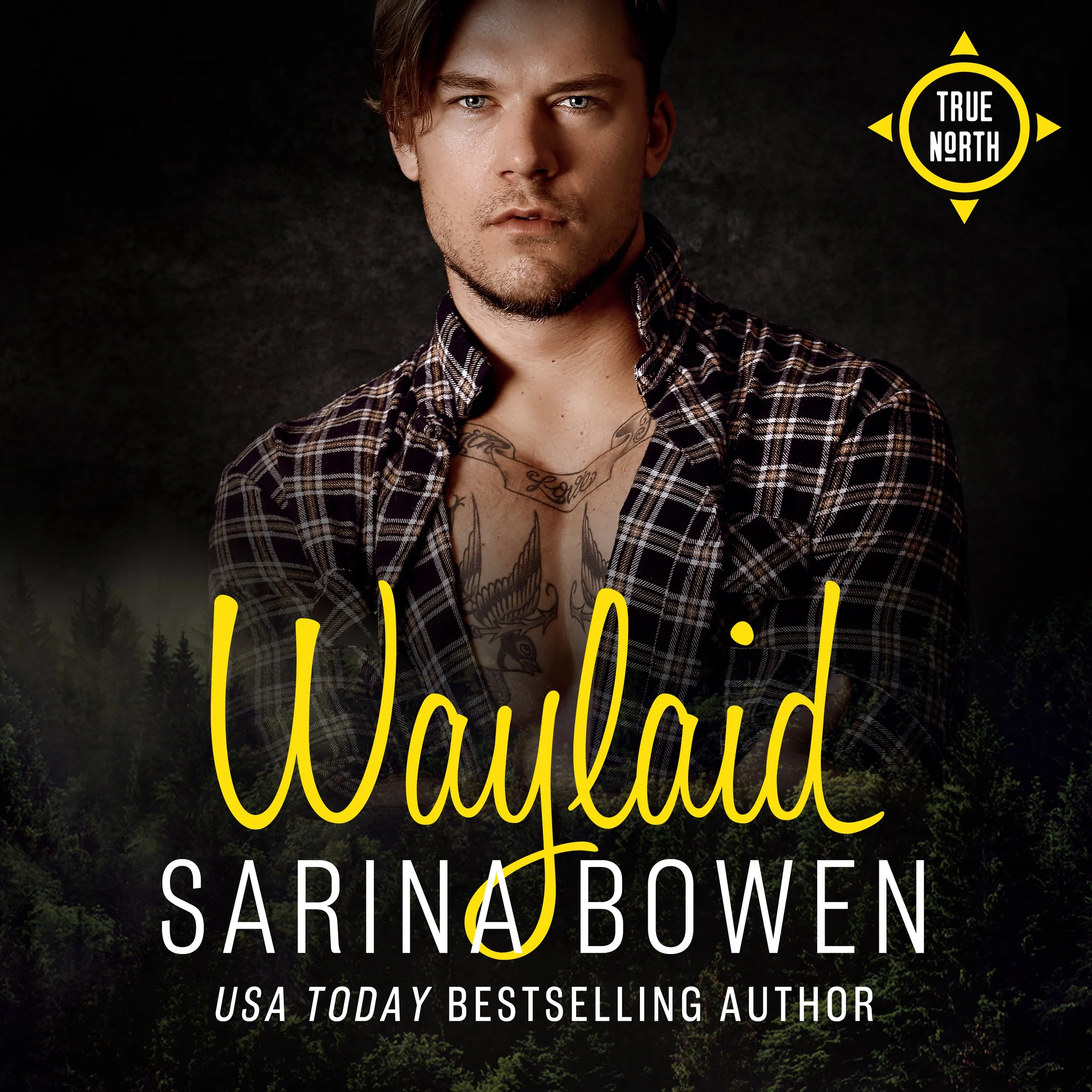 Waylaid