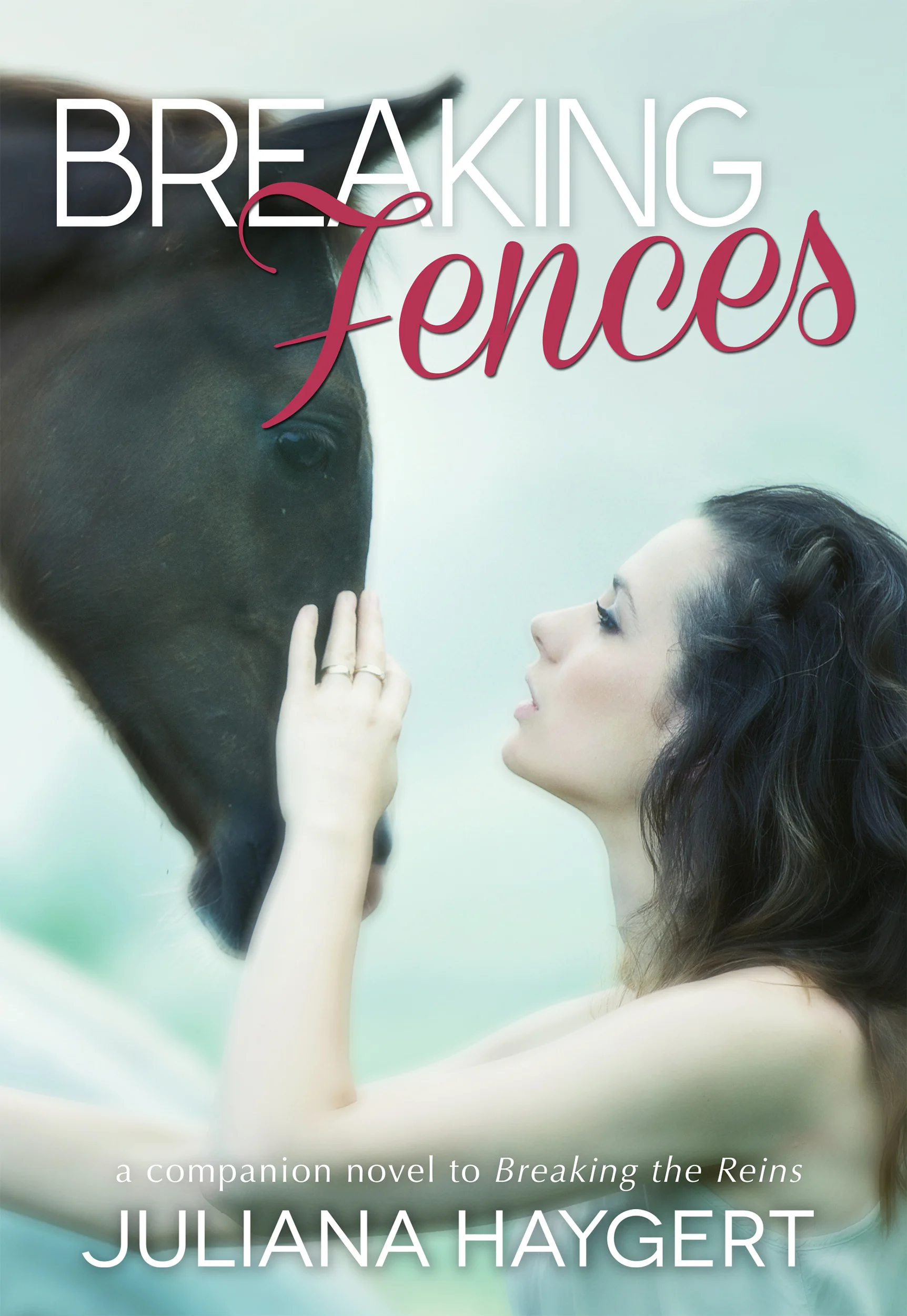 Breaking Fences - front.jpg