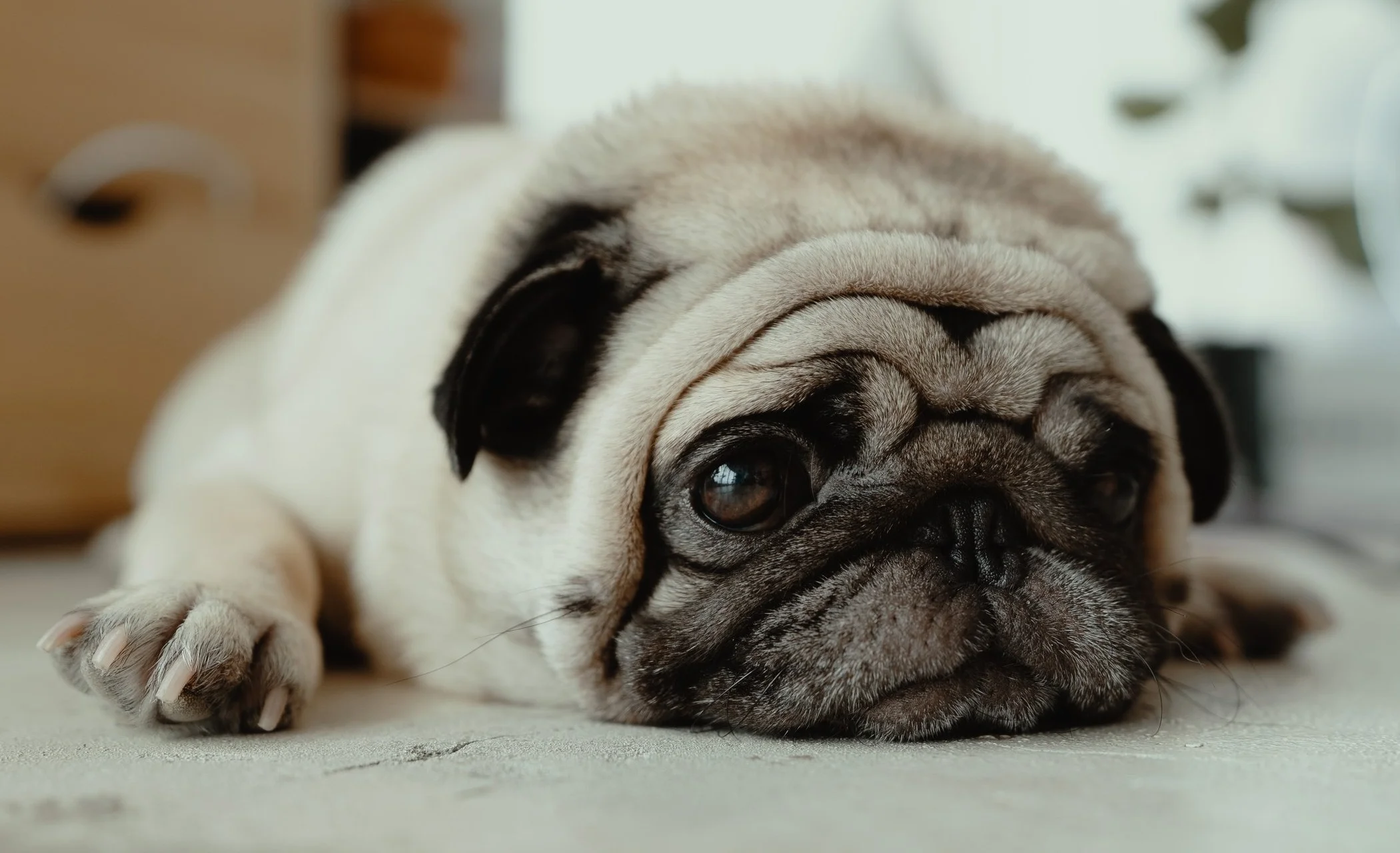 Actual photo of me after rejection #4927.