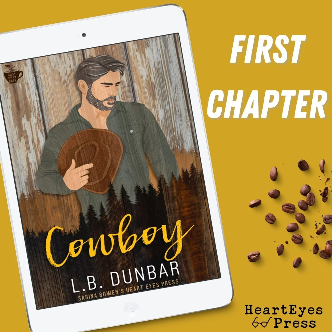 First Chapter: Cowboy by L.B. Dunbar